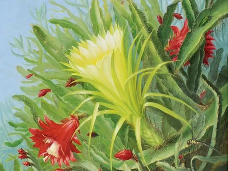 1839-Alfrida Vilhelmine Ludovica Baadsgaard - Fiori di cactus